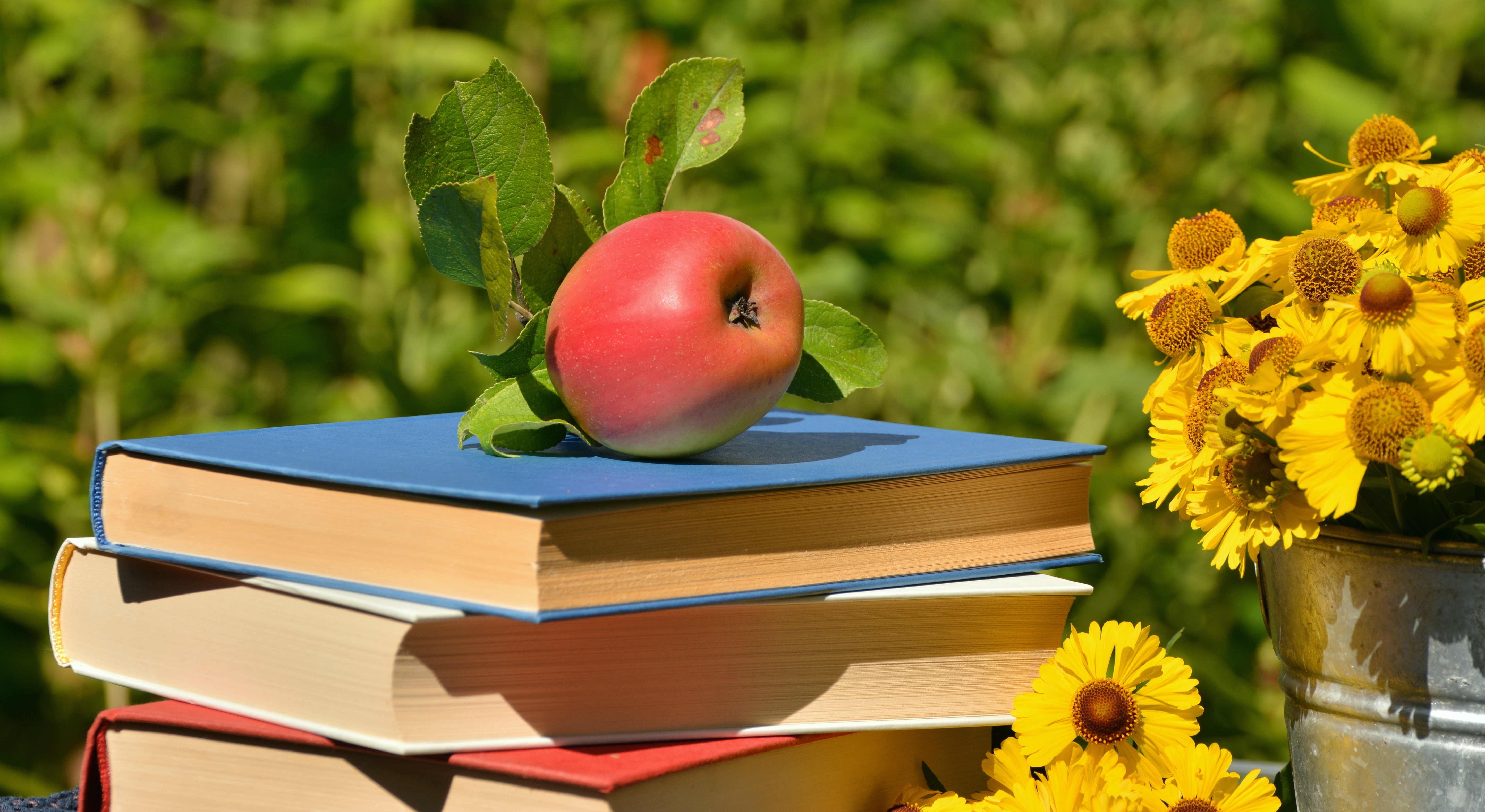 Что почитать весной. Яблоко книга. Лето с книжкой. Лето с книгой. Лето с книгой в библиотеке.